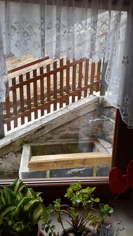 Ospitalita Diffusa Laste Dolomites - Cesa Murer Pallua 外观 照片